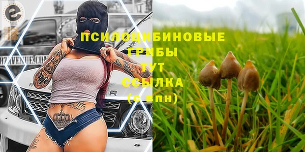 MDMA Premium VHQ Беломорск
